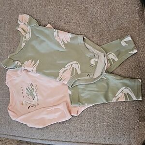 Carter's 3 piece swan outfit